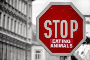 Stop Eating Animals Sign